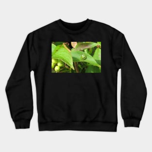 Stink Bug Green No.1 Crewneck Sweatshirt